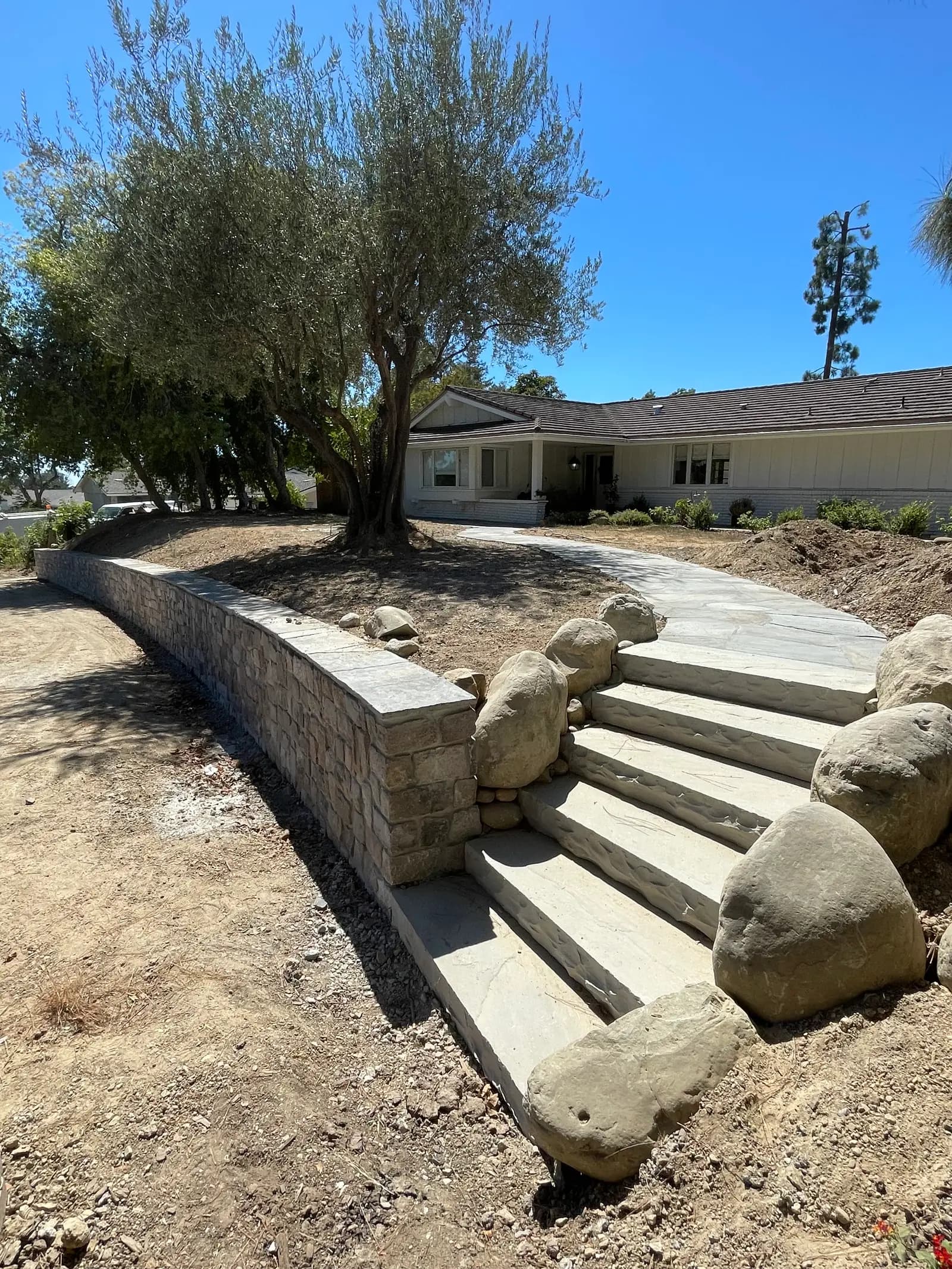 Front yard hardscape with stacked stone retaining wall, flagstone stairway, and mature olive tree in Camarillo, CA